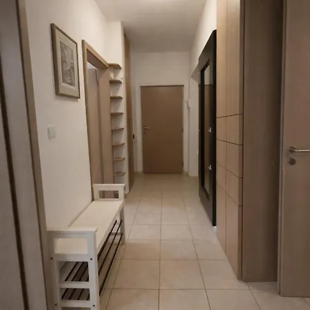 Apartment Family, Party